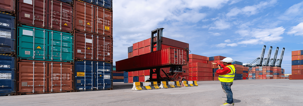 Reliable export and import from india