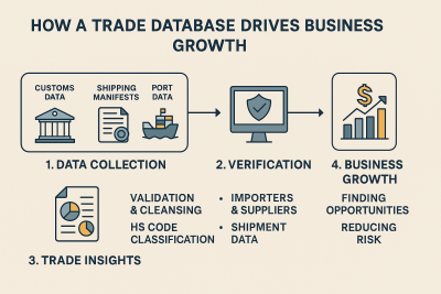 Trade Database: The Power Behind Global Business Growth
